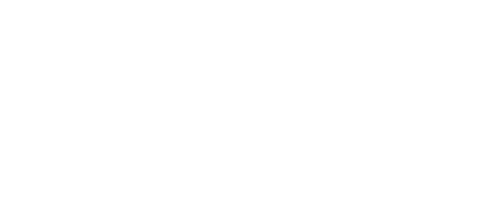 PONK CZD